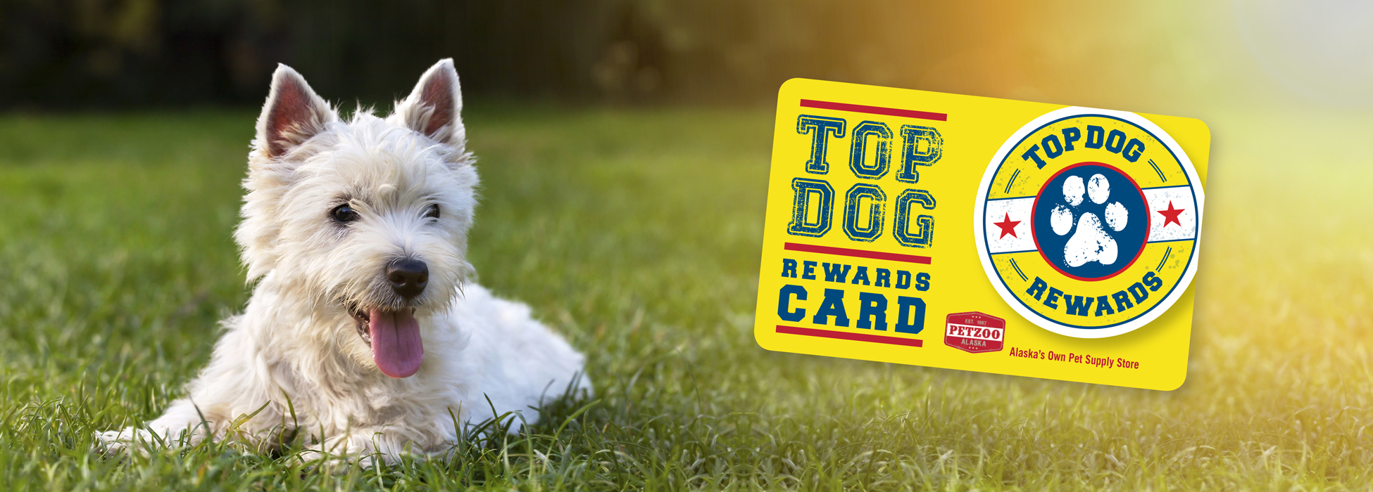 Top dog clearance stores